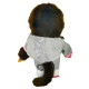 Monchhichi 愛豆男孩 S 號